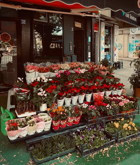 An outdoor display of fresh flowers in front of a floral shop, featuring a variety of vibrant blooms arranged in white, black, and red buckets. The bouquet includes red roses, pink tulips, white daisi