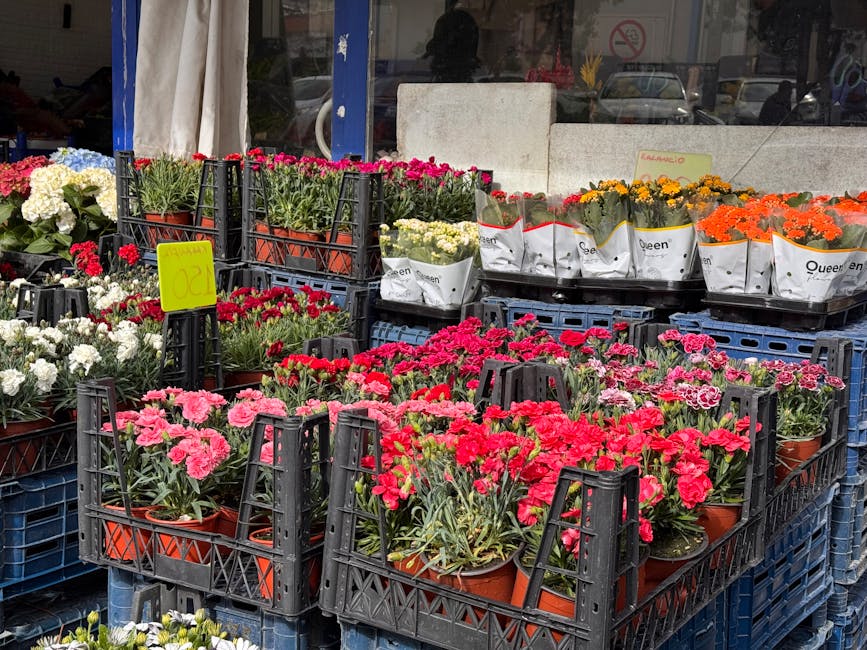 Outdoor display of various flowering plants arranged in black plastic crates and small pots, including vibrant pink, red, white, yellow, and orange blooms. The flowers are primarily carnations and chr