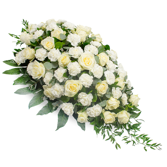 A luxurious white funeral spray is pictured on a pure white background, positioned diagonally so that its lush, rounded head fills the upper left of the image and its tapered, trailing tip reaches toward the lower right. The arrangement is built around a generous collection of white and soft ivory roses, tightly grouped to form a rich, continuous field of blooms. Each rose reveals a different stage of opening, from small buds with tightly wrapped petals to fully blossomed flowers whose layered spirals are wide and inviting, giving the design depth and a sense of quiet unfolding. Threaded among these roses are clusters of white carnations, their frilled petals forming gentle ruffles that add volume and soft texture throughout. Supporting this expanse of flowers is a bed of mixed greenery: some leaves are deep green and glossy, others are softer, silvery eucalyptus that lend a cool, calming undertone. At the narrow end of the teardrop, slim ruscus stems and other trailing foliage stretch outwards, emphasizing the elongated form, like foliage gently dipping toward the paths around Horsenden Hill. The white backdrop ensures there are no distractions from the subtle interplay of whites and greens, and the even lighting allows each petal, leaf, and stem to be clearly visible and distinct. The mood conveyed is one of profound calm, innocence, and respect, without any bright or jarring colours. This timeless sympathy spray, likely crafted by Flowers Perivale for local families, feels ideal for services in Perivale churches, crematoria, or graveside tributes, embodying a heartfelt farewell and the quiet strength of shared memories.