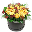 A contemporary black round hatbox sits centred against a clean white background, holding a radiant dome of flowers that feels as welcoming as a sunny morning in Perivale. The box has a smooth, matte finish that quietly supports the arrangement above, allowing the colours to take centre stage. At the heart of the design are numerous golden yellow roses, approximately two dozen, gathered tightly together so that their velvety petals seem to brush against one another. The roses vary in openness: some are fully blossomed, with layered spirals of petals forming soft, rounded cups of colour, while others are still unfurling, their centres partially hidden, suggesting freshness and longevity. Threaded between the roses are distinctive stems of deep burgundy leucadendron, with elongated, cone-like bracts that rise above and between the blooms. Their pointed tips and gradient from reddish-brown to greenish tones introduce drama and texture, creating a sophisticated dialogue with the softness of the roses. A collar of broad, glossy dark green leaves surrounds the base of the dome, grounding the design and giving it a full, rounded profile. From within this foliage, fine, feathery strands of light green filler emerge, some peeking out from the top, others slightly trailing over the hatbox rim, adding a light, airy movement reminiscent of grasses swaying near the open fields of Horsenden Hill. Just above the container's edge, a narrow band of white lace trim encircles the hatbox, lending a delicate, romantic touch to the modern silhouette. This arrangement, with its blend of contemporary styling and timeless blooms, would make a refined gift for birthdays, thank yous, or quiet celebrations in homes and offices throughout Perivale.